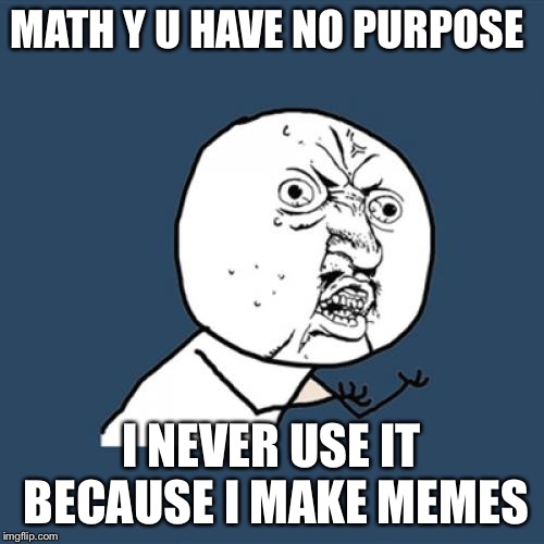 Y U No | MATH Y U HAVE NO PURPOSE; I NEVER USE IT BECAUSE I MAKE MEMES | image tagged in memes,y u no | made w/ Imgflip meme maker