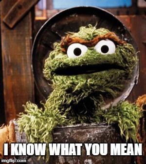 Oscar the Grouch | I KNOW WHAT YOU MEAN | image tagged in oscar the grouch | made w/ Imgflip meme maker