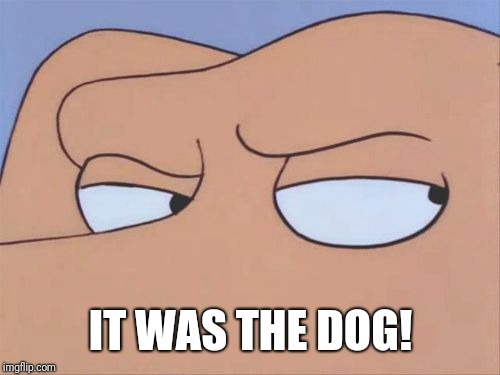 Shifty Eyes | IT WAS THE DOG! | image tagged in shifty eyes | made w/ Imgflip meme maker