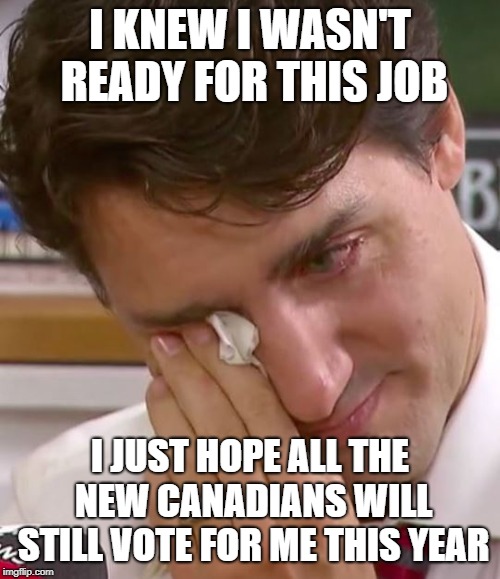 Justin Trudeau Crying | I KNEW I WASN'T READY FOR THIS JOB; I JUST HOPE ALL THE NEW CANADIANS WILL STILL VOTE FOR ME THIS YEAR | image tagged in justin trudeau crying | made w/ Imgflip meme maker