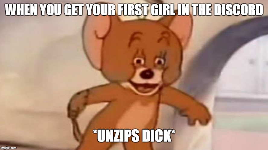 Tom and Jerry | WHEN YOU GET YOUR FIRST GIRL IN THE DISCORD; *UNZIPS DICK* | image tagged in tom and jerry | made w/ Imgflip meme maker