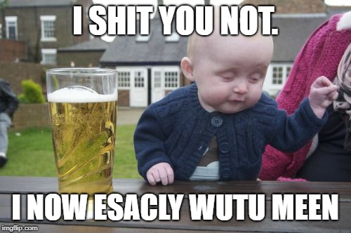 Drunk Baby Meme | I SHIT YOU NOT. I NOW ESACLY WUTU MEEN | image tagged in memes,drunk baby | made w/ Imgflip meme maker