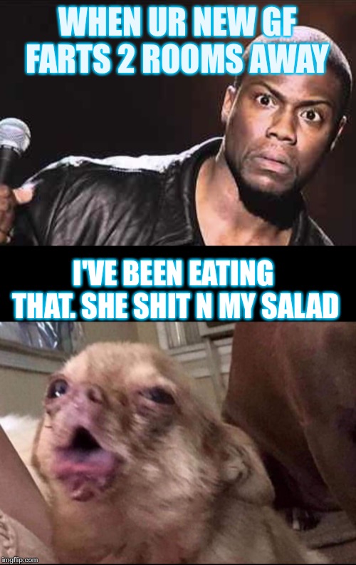 WHEN UR NEW GF FARTS 2 ROOMS AWAY; I'VE BEEN EATING THAT. SHE SHIT N MY SALAD | image tagged in what | made w/ Imgflip meme maker