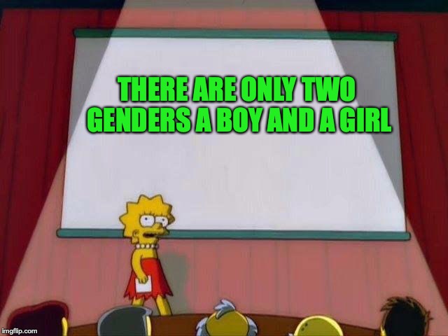 Lisa Simpson's Presentation | THERE ARE ONLY TWO GENDERS A BOY AND A GIRL | image tagged in lisa simpson's presentation | made w/ Imgflip meme maker