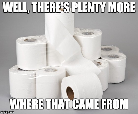 toilet paper | WELL, THERE'S PLENTY MORE WHERE THAT CAME FROM | image tagged in toilet paper | made w/ Imgflip meme maker