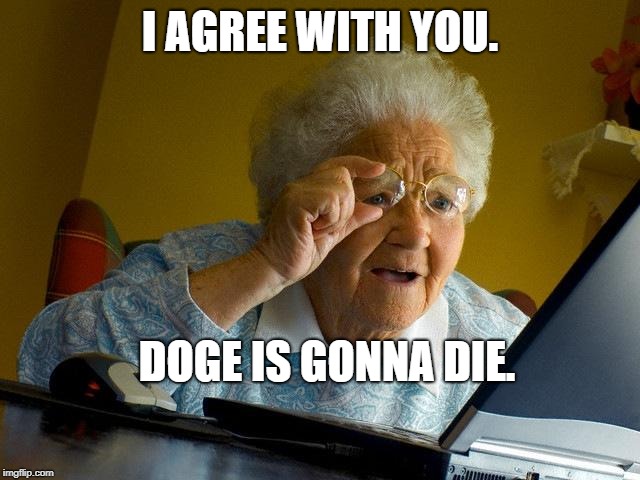 I AGREE WITH YOU. DOGE IS GONNA DIE. | image tagged in memes,grandma finds the internet | made w/ Imgflip meme maker