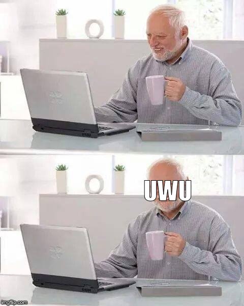 Hide the Pain Harold Meme | UWU | image tagged in memes,hide the pain harold | made w/ Imgflip meme maker