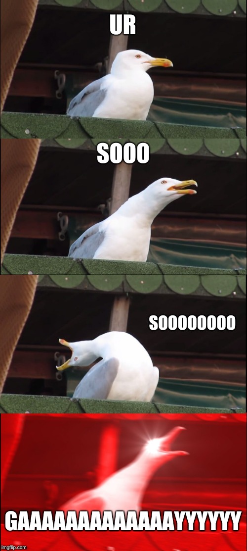 Inhaling Seagull Meme | UR; SOOO; SOOOOOOOO; GAAAAAAAAAAAAAYYYYYY | image tagged in memes,inhaling seagull | made w/ Imgflip meme maker