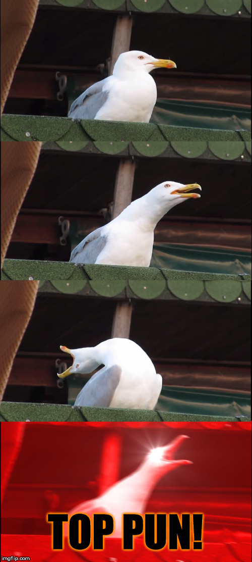 Inhaling Seagull Meme | TOP PUN! | image tagged in memes,inhaling seagull | made w/ Imgflip meme maker