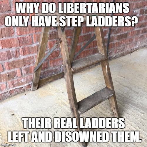 Step Ladder | WHY DO LIBERTARIANS ONLY HAVE STEP LADDERS? THEIR REAL LADDERS LEFT AND DISOWNED THEM. | image tagged in step ladder | made w/ Imgflip meme maker