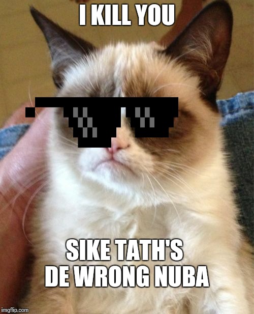 Grumpy Cat Meme | I KILL YOU; SIKE TATH'S DE WRONG NUBA | image tagged in memes,grumpy cat | made w/ Imgflip meme maker