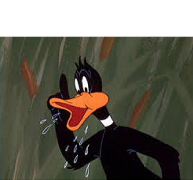 Daffy Duck TN Memes - Imgflip.