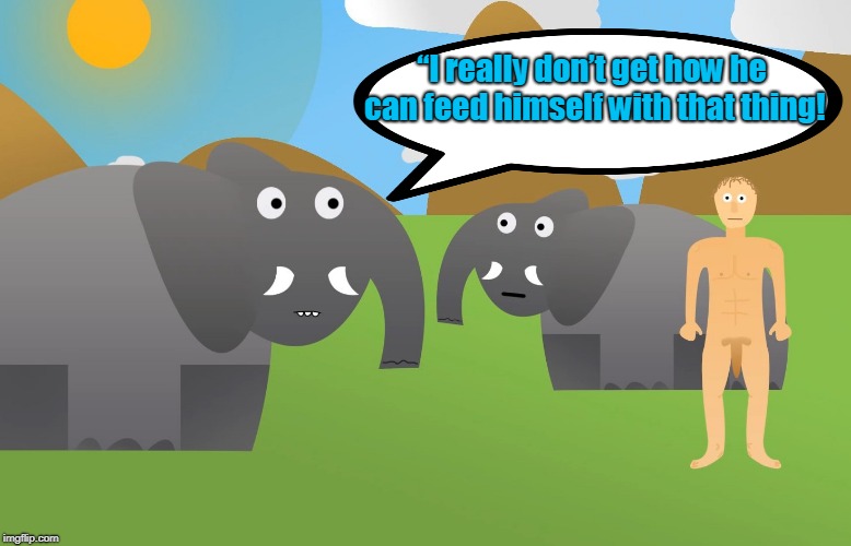 Two elephants meet a totally naked guy | “I really don’t get how he can feed himself with that thing! | image tagged in funny | made w/ Imgflip meme maker