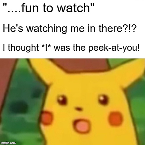 Surprised Pikachu Meme | "....fun to watch" He's watching me in there?!? I thought *I* was the peek-at-you! | image tagged in memes,surprised pikachu | made w/ Imgflip meme maker