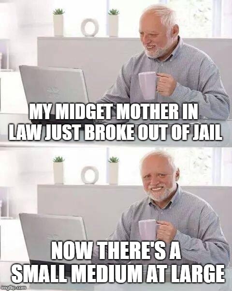 Hide the Pain Harold | MY MIDGET MOTHER IN LAW JUST BROKE OUT OF JAIL; NOW THERE'S A SMALL MEDIUM AT LARGE | image tagged in memes,hide the pain harold | made w/ Imgflip meme maker