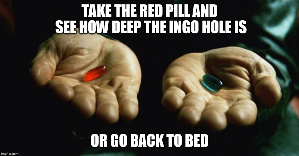 Red pill blue pill | TAKE THE RED PILL AND SEE HOW DEEP THE INGO HOLE IS; OR GO BACK TO BED | image tagged in red pill blue pill | made w/ Imgflip meme maker