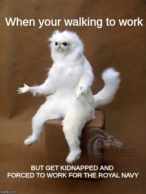 Persian Cat Room Guardian Single | When your walking to work; BUT GET KIDNAPPED AND FORCED TO WORK FOR THE ROYAL NAVY | image tagged in memes,persian cat room guardian single | made w/ Imgflip meme maker
