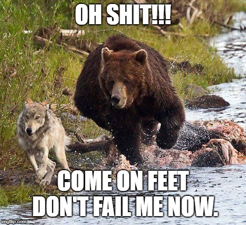 Feet don't fail me now | image tagged in oh shit,run | made w/ Imgflip meme maker
