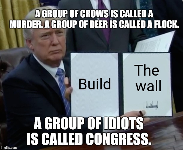 Trump Bill Signing | A GROUP OF CROWS IS CALLED A MURDER.
A GROUP OF DEER IS CALLED A FLOCK. Build; The wall; A GROUP OF IDIOTS IS CALLED CONGRESS. | image tagged in memes,trump bill signing | made w/ Imgflip meme maker