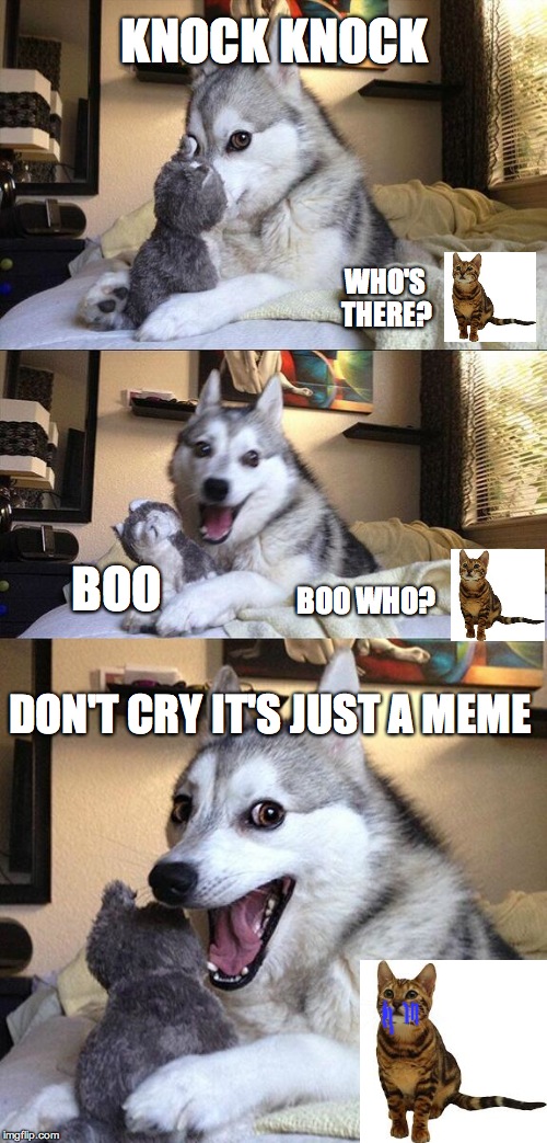 Bad Pun Dog | KNOCK KNOCK; WHO'S THERE? BOO; BOO WHO? DON'T CRY IT'S JUST A MEME | image tagged in memes,bad pun dog | made w/ Imgflip meme maker