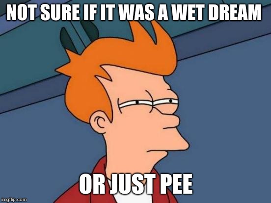is this true for anyone else | NOT SURE IF IT WAS A WET DREAM; OR JUST PEE | image tagged in memes,futurama fry | made w/ Imgflip meme maker
