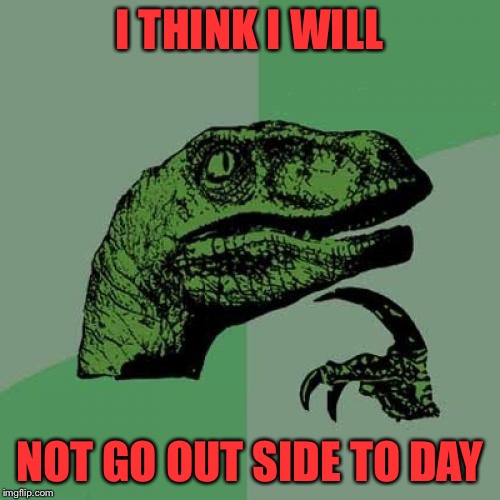 Philosoraptor Meme | I THINK I WILL; NOT GO OUT SIDE TO DAY | image tagged in memes,philosoraptor | made w/ Imgflip meme maker
