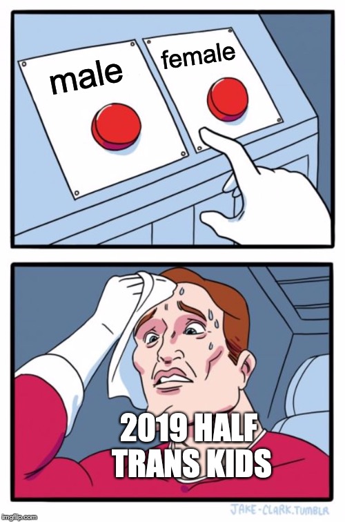 Two Buttons Meme | female; male; 2019 HALF TRANS KIDS | image tagged in memes,two buttons | made w/ Imgflip meme maker