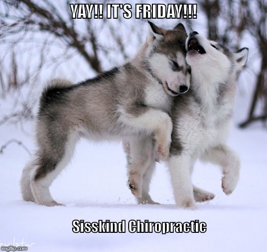 YAY! It's Friday!! | YAY!! IT'S FRIDAY!!! Sisskind Chiropractic | image tagged in yay it's friday | made w/ Imgflip meme maker