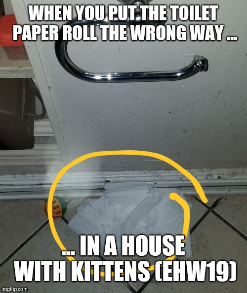 WHEN YOU PUT THE TOILET PAPER ROLL THE WRONG WAY ... ... IN A HOUSE WITH KITTENS (EHW19) | image tagged in wrong way toilet paper cats | made w/ Imgflip meme maker