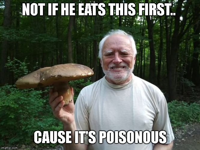 Hide The Pain Harold Holding A Mushroom | NOT IF HE EATS THIS FIRST.. CAUSE IT'S POISONOUS | image tagged in hide the pain harold holding a mushroom | made w/ Imgflip meme maker