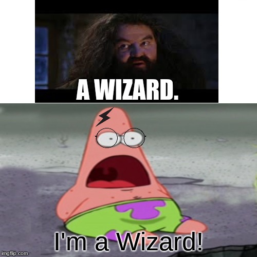 Part 2 of that thing I did a while ago | A WIZARD. I'm a Wizard! | image tagged in harry potter,hagrid,patrick,suprised patrick,wizard,help me | made w/ Imgflip meme maker