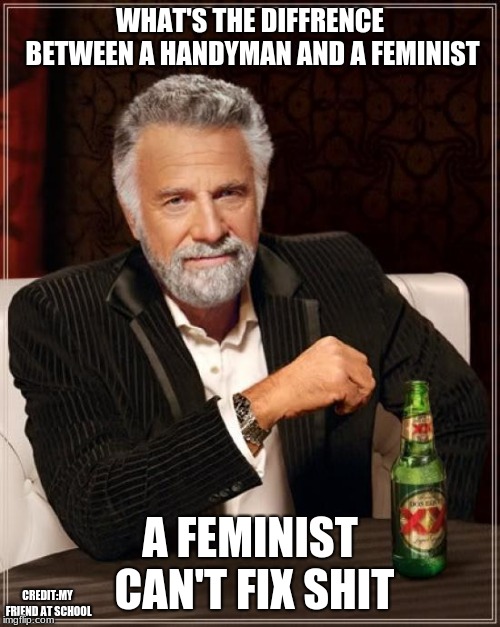 The Most Interesting Man In The World | WHAT'S THE DIFFRENCE BETWEEN A HANDYMAN AND A FEMINIST; A FEMINIST CAN'T FIX SHIT; CREDIT:MY FRIEND AT SCHOOL | image tagged in memes,the most interesting man in the world | made w/ Imgflip meme maker