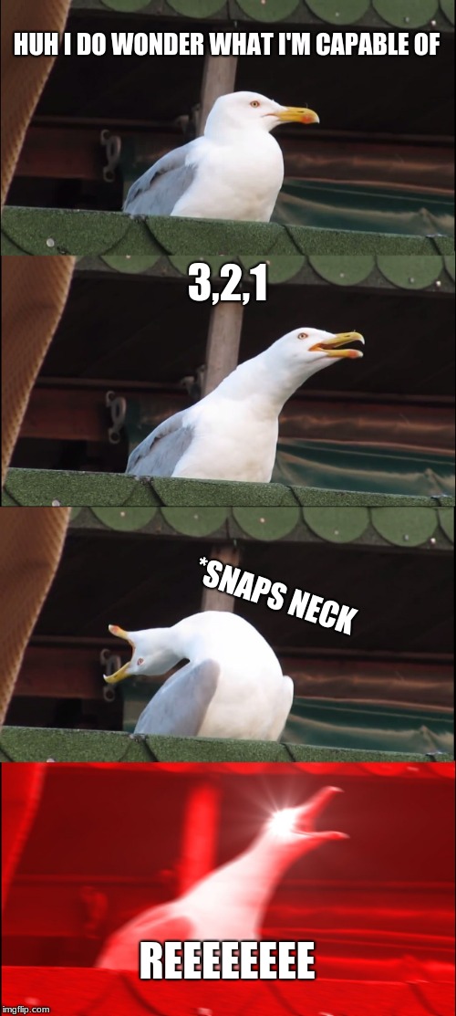 Inhaling Seagull Meme | HUH I DO WONDER WHAT I'M CAPABLE OF; 3,2,1; *SNAPS NECK; REEEEEEEE | image tagged in memes,inhaling seagull | made w/ Imgflip meme maker