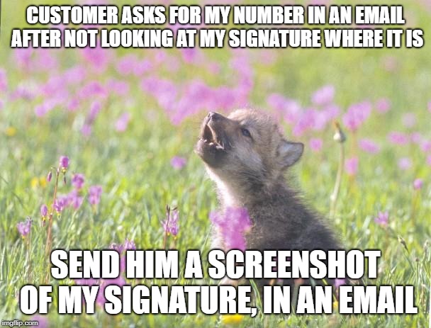 Baby Insanity Wolf | CUSTOMER ASKS FOR MY NUMBER IN AN EMAIL AFTER NOT LOOKING AT MY SIGNATURE WHERE IT IS; SEND HIM A SCREENSHOT OF MY SIGNATURE, IN AN EMAIL | image tagged in memes,baby insanity wolf,AdviceAnimals | made w/ Imgflip meme maker