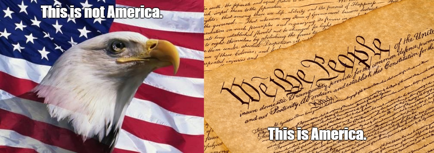 What is America? | This is not America. This is America. | image tagged in memes,america,patriotic eagle,consitution | made w/ Imgflip meme maker