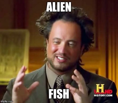Ancient Aliens Meme | ALIEN FISH | image tagged in memes,ancient aliens | made w/ Imgflip meme maker