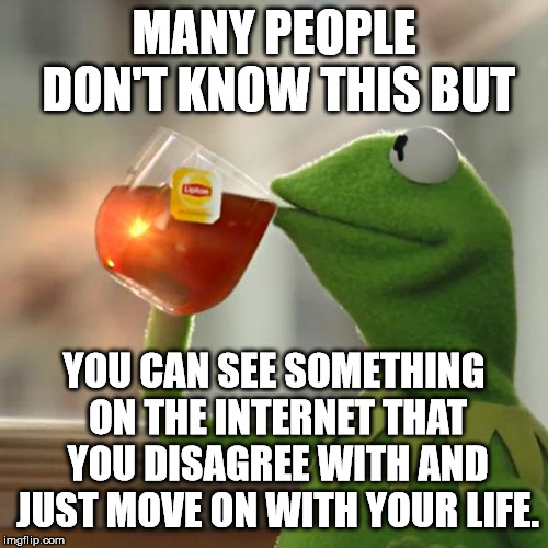 But That's None Of My Business | MANY PEOPLE DON'T KNOW THIS BUT; YOU CAN SEE SOMETHING ON THE INTERNET THAT YOU DISAGREE WITH AND JUST MOVE ON WITH YOUR LIFE. | image tagged in memes,but thats none of my business,kermit the frog | made w/ Imgflip meme maker