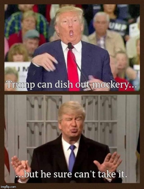 Memes | image tagged in donald trump,snowflakes | made w/ Imgflip meme maker
