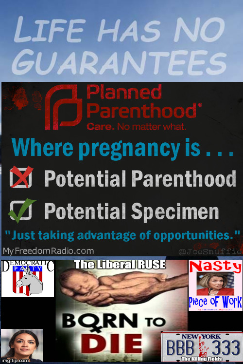 Planned Parenthood..No guarantee of life | image tagged in death wish,liberals evil,conservative,jussie,al sharpton racist | made w/ Imgflip meme maker