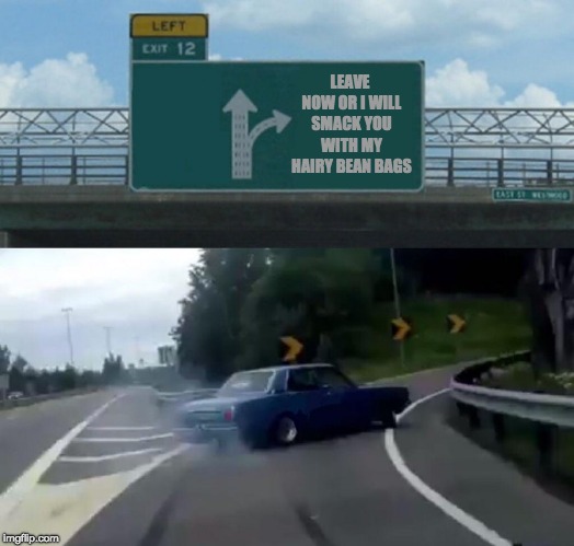 Left Exit 12 Off Ramp Meme | LEAVE NOW OR I WILL SMACK YOU WITH MY HAIRY BEAN BAGS | image tagged in memes,left exit 12 off ramp | made w/ Imgflip meme maker