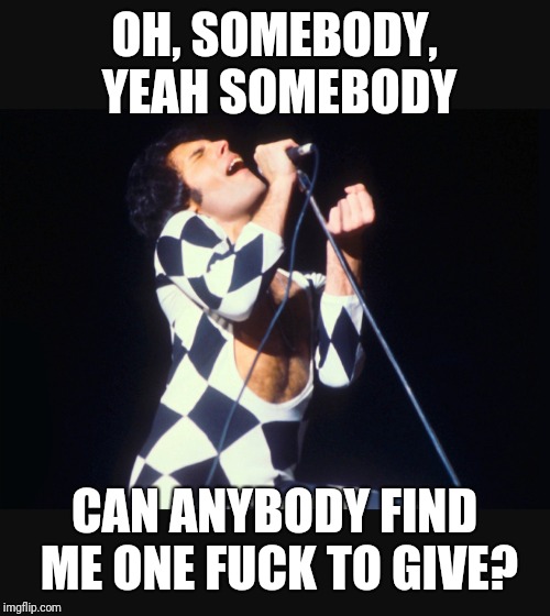 OH, SOMEBODY, YEAH SOMEBODY; CAN ANYBODY FIND ME ONE FUCK TO GIVE? | image tagged in freddie mercury,no fucks given | made w/ Imgflip meme maker