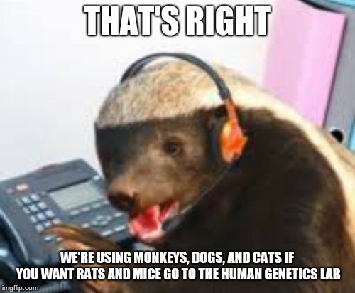 Customer Service how may I eat you | THAT'S RIGHT WE'RE USING MONKEYS, DOGS, AND CATS IF YOU WANT RATS AND MICE GO TO THE HUMAN GENETICS LAB | image tagged in customer service how may i eat you | made w/ Imgflip meme maker