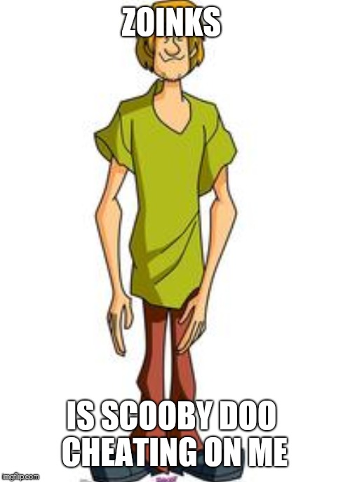 ZOINKS; IS SCOOBY DOO CHEATING ON ME | image tagged in shaggy | made w/ Imgflip meme maker