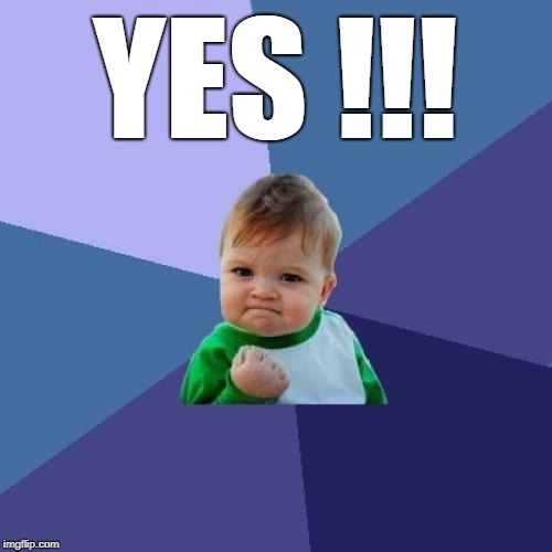 Success Kid Meme | YES !!! | image tagged in memes,success kid | made w/ Imgflip meme maker