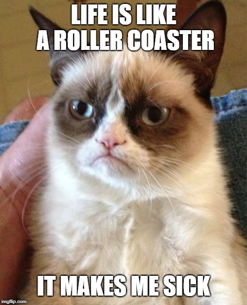 Grumpy Cat | LIFE IS LIKE A ROLLER COASTER; IT MAKES ME SICK | image tagged in memes,grumpy cat | made w/ Imgflip meme maker