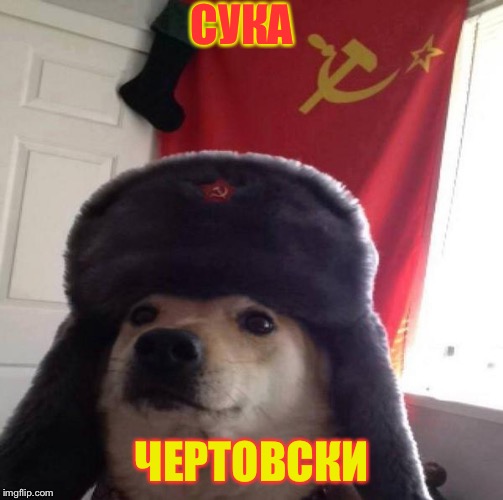 Russian Doge | СУКА; ЧЕРТОВСКИ | image tagged in russian doge | made w/ Imgflip meme maker