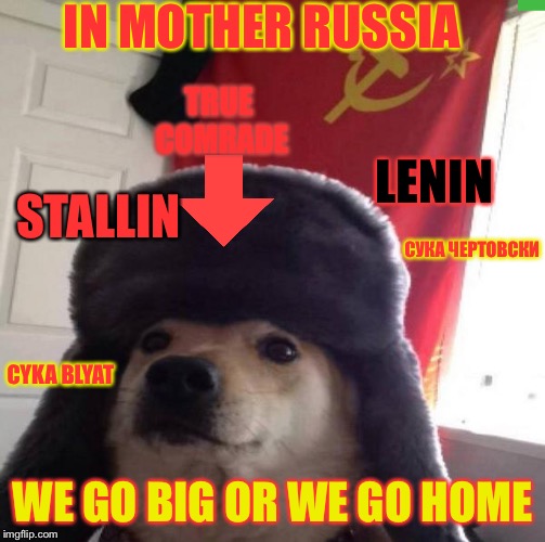 Russian Doge | IN MOTHER RUSSIA; TRUE COMRADE; LENIN; STALLIN; СУКА ЧЕРТОВСКИ; CYKA BLYAT; WE GO BIG OR WE GO HOME | image tagged in russian doge | made w/ Imgflip meme maker