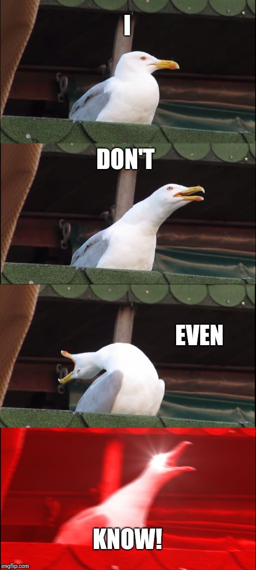 Inhaling Seagull Meme | I DON'T EVEN KNOW! | image tagged in memes,inhaling seagull | made w/ Imgflip meme maker