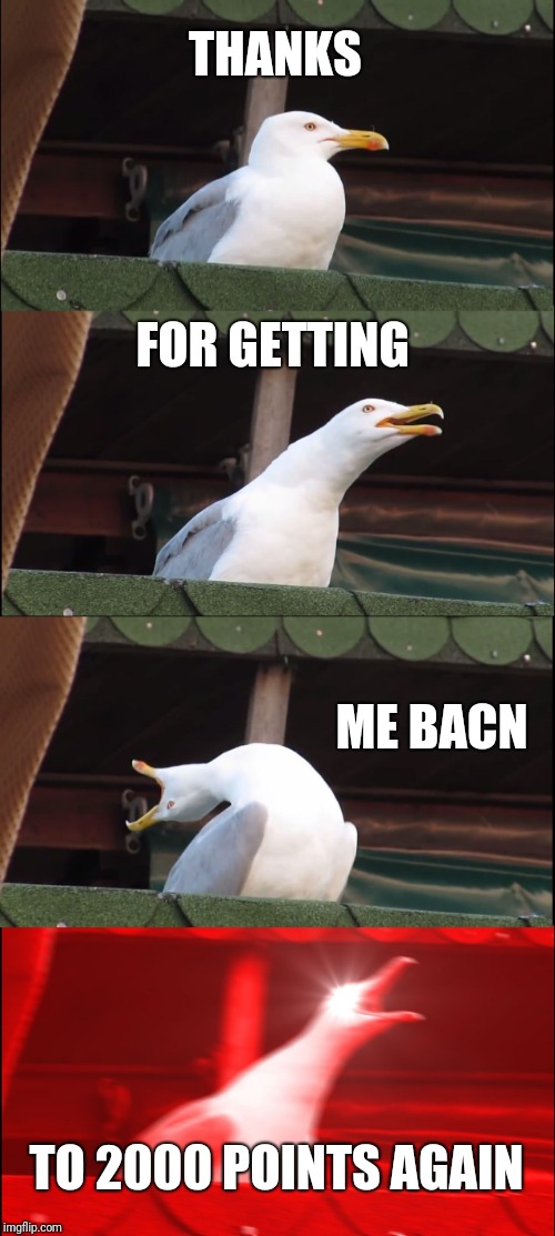 Inhaling Seagull Meme | THANKS FOR GETTING ME BACN TO 2000 POINTS AGAIN | image tagged in memes,inhaling seagull | made w/ Imgflip meme maker