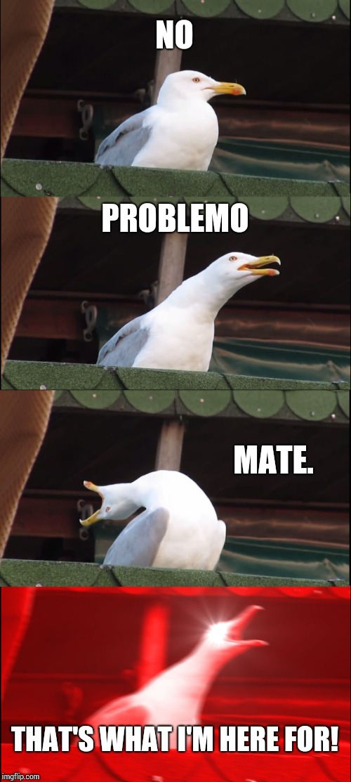 Inhaling Seagull Meme | NO PROBLEMO MATE. THAT'S WHAT I'M HERE FOR! | image tagged in memes,inhaling seagull | made w/ Imgflip meme maker